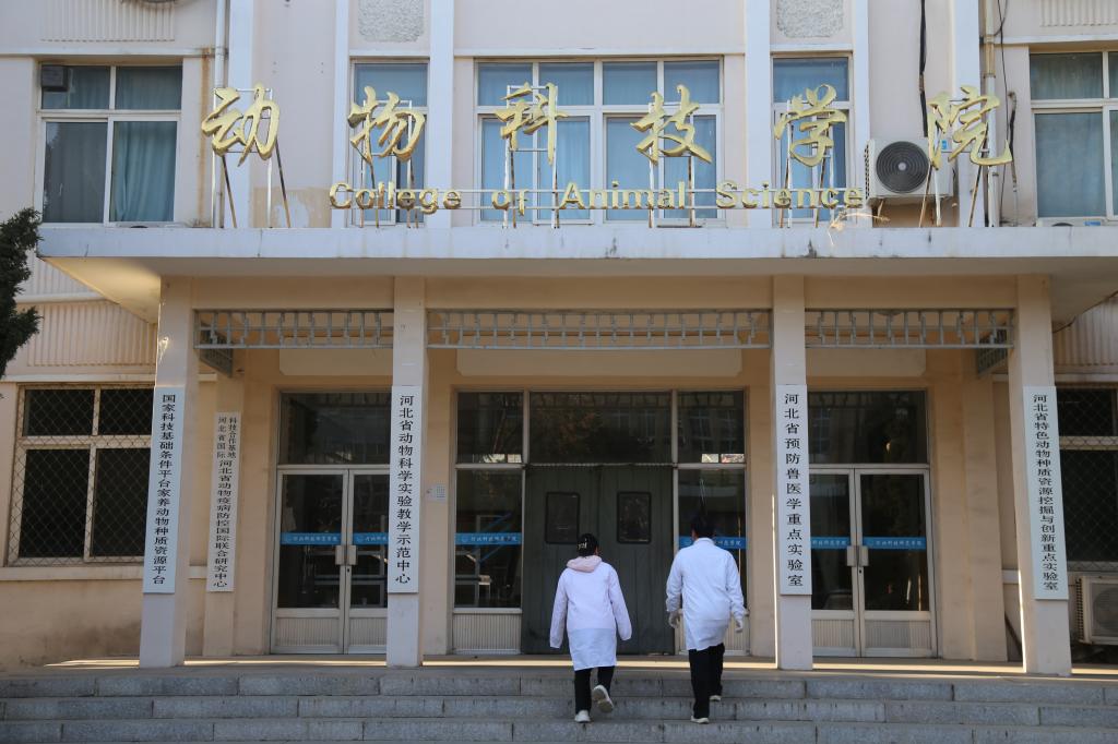 欢迎报考伟德国际1946bv官网
